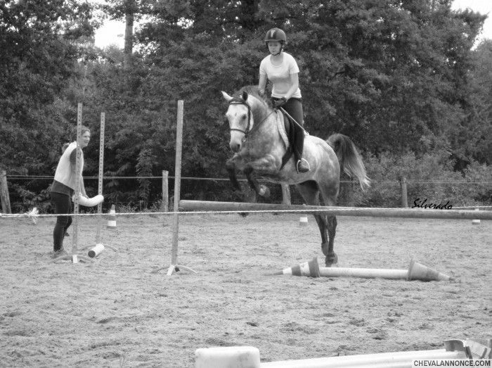 Photo de profil de silveradow