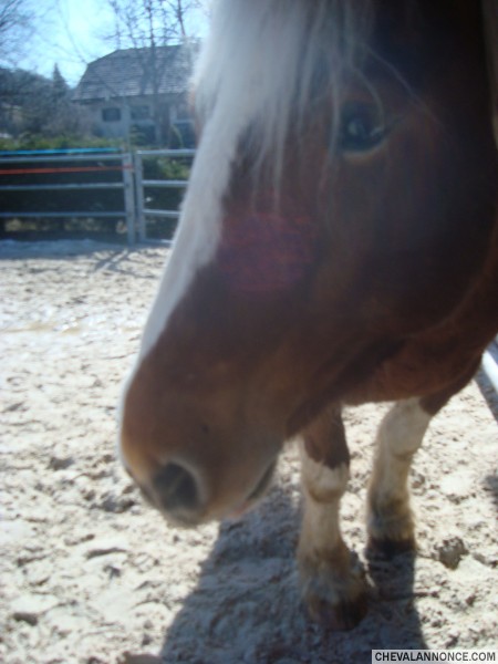 Photo de profil de saperli_popette
