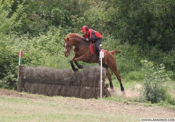 Photo de profil de judithvillain