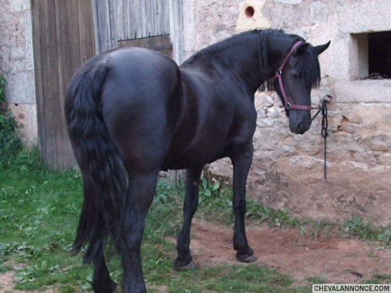 Photo de profil de aurora