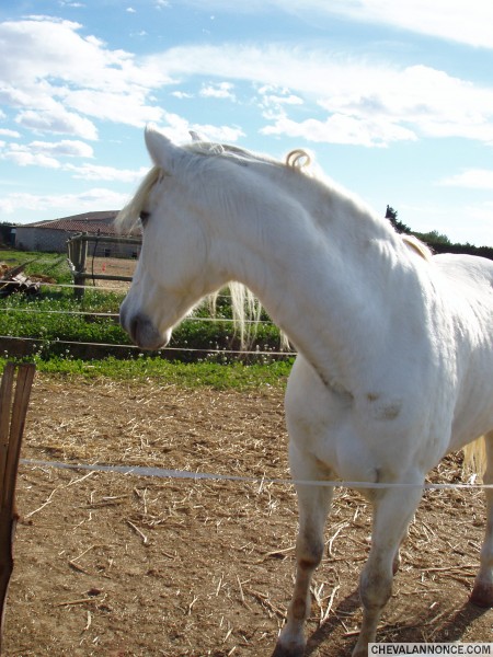 Photo de profil de goyoamor