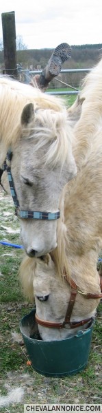 Photo de profil de justedebourree