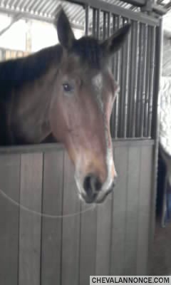 Photo de profil de mylencka