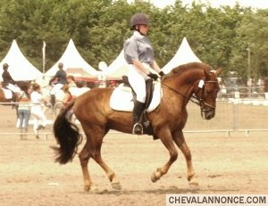 Photo de profil de laurep