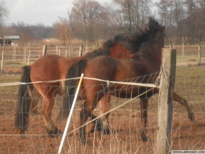 Photo de profil de odrey