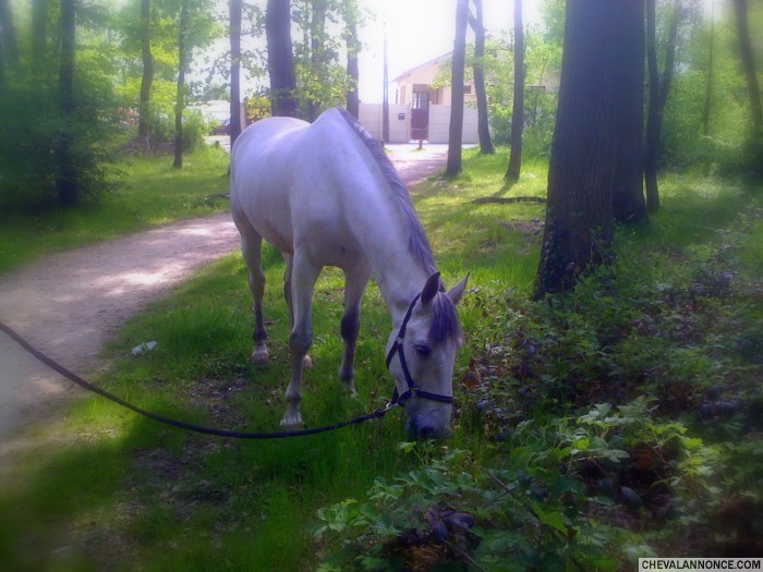 Photo de profil de booouriquet