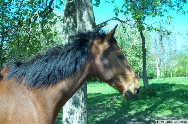 Photo de profil de ninacath