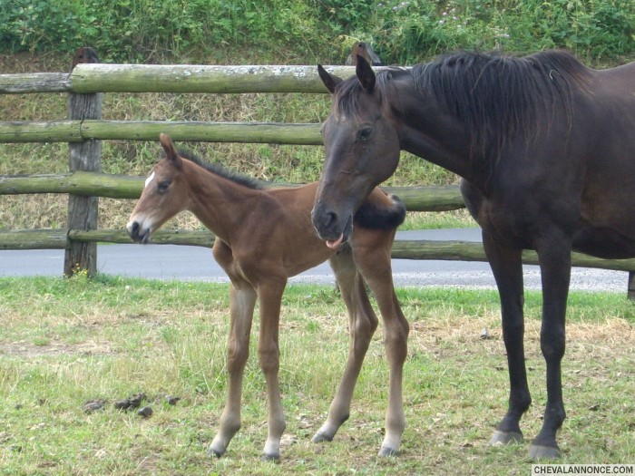 Photo de profil de wouchi