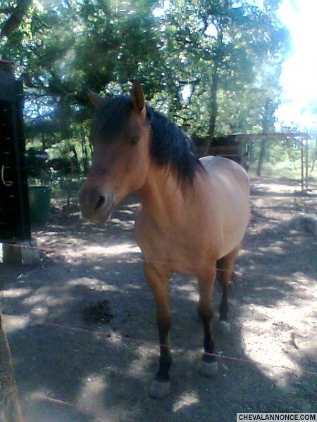 Photo de profil de ninafanny