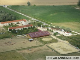 Photo de profil de olivettes