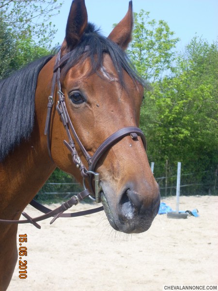 Photo de profil de karlyne