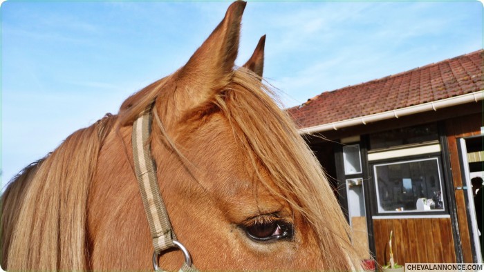 Photo de profil de mdiego