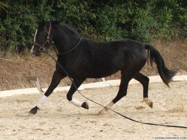 Photo de profil de neiges