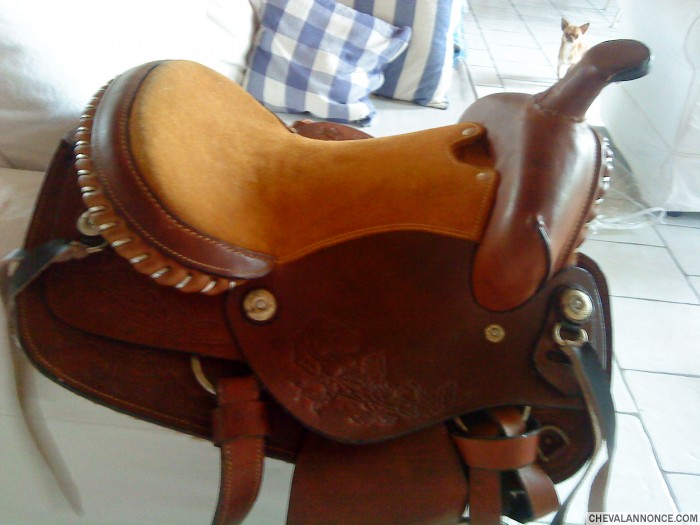 Photo de profil de victoriousdemon