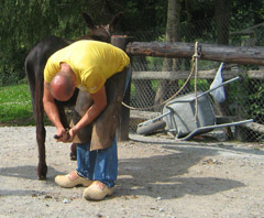 Photo de profil de 4bozzza