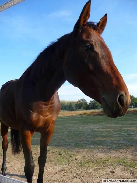 Photo de profil de paulinou66