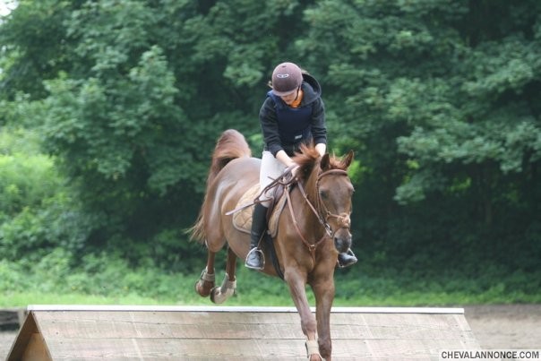 Photo de profil de jess0u