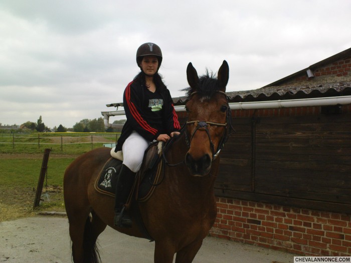 Photo de profil de orhanewesley