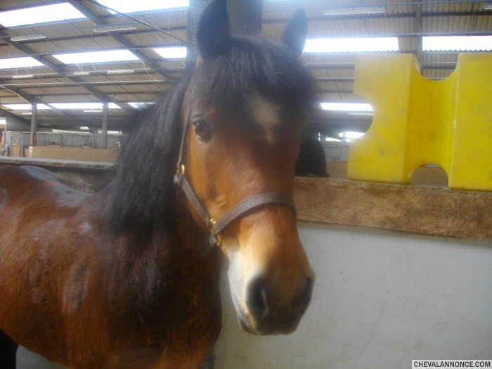 Photo de profil de camille6200