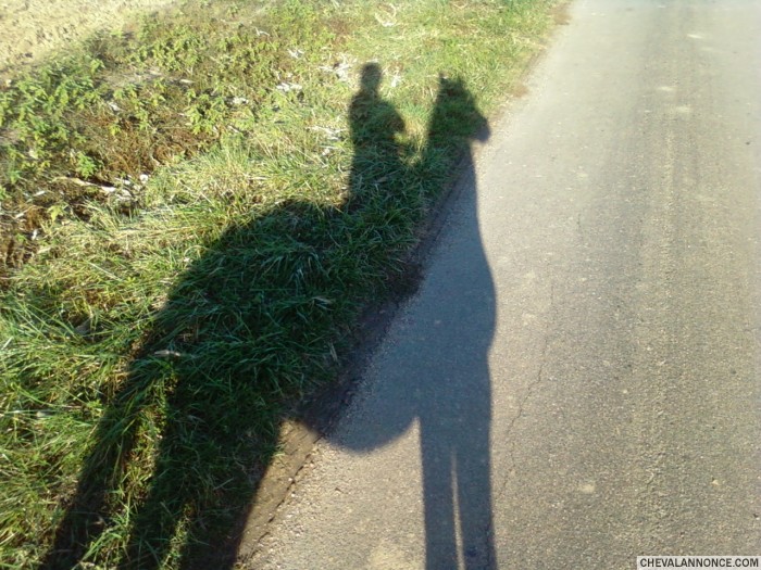 Photo de profil de marie.82