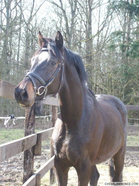 Photo de profil de dakota12