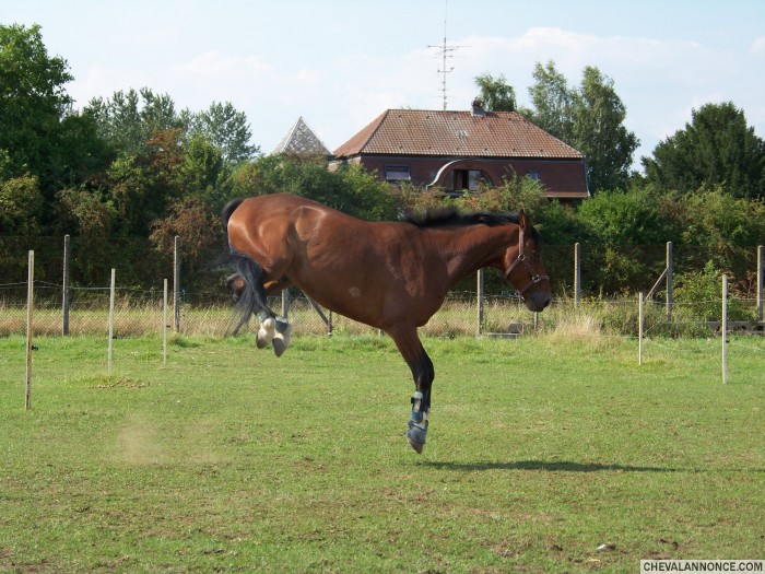 Photo de profil de chlaire