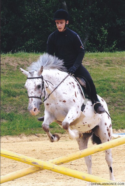 Photo de profil de lololo