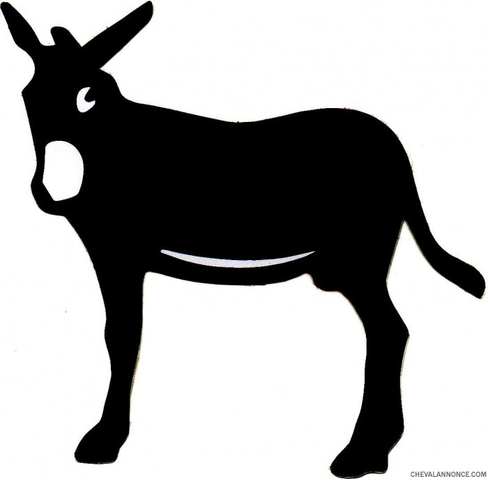 Photo de profil de lasirenita