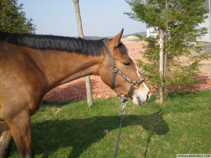 Photo de profil de myrtille1982