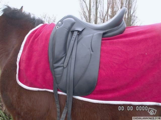 Photo de profil de adelle