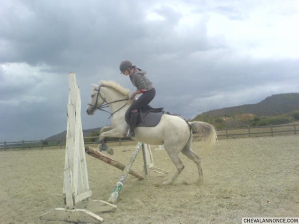 Photo de profil de shounex3