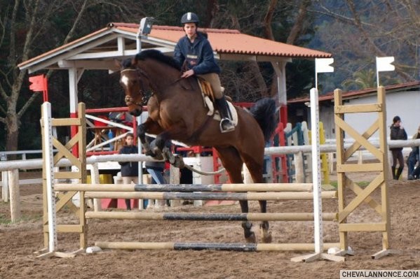 Photo de profil de n-esquik