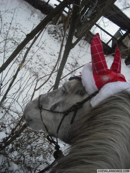 Photo de profil de cyourlife