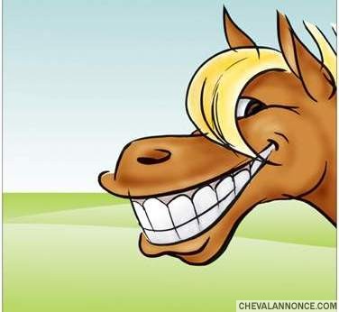 Photo de profil de marl51