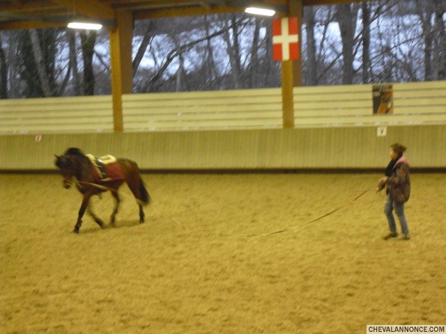 Photo de profil de jojo0402