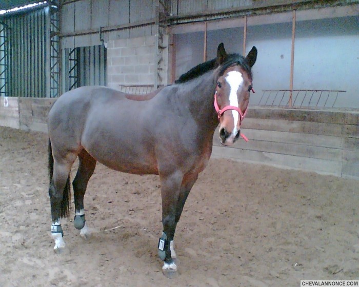 Photo de profil de collas