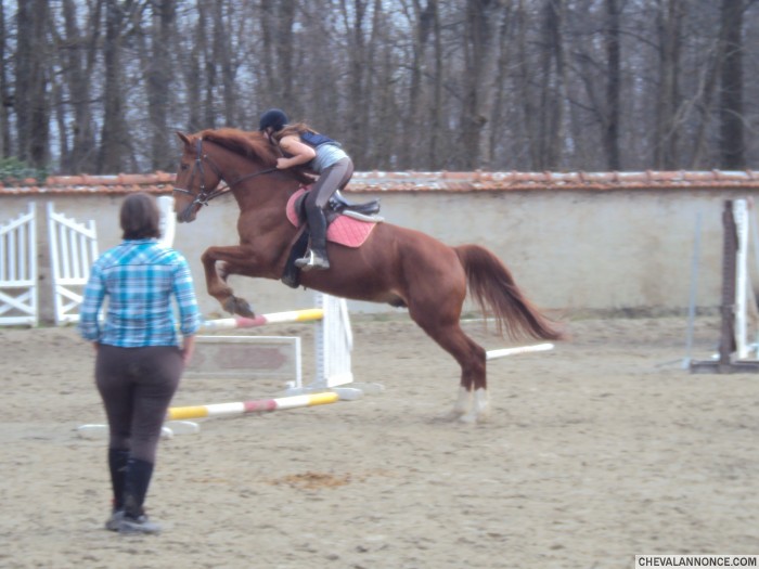 Photo de profil de announette