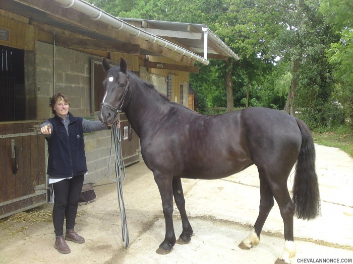 Photo de profil de wipli09