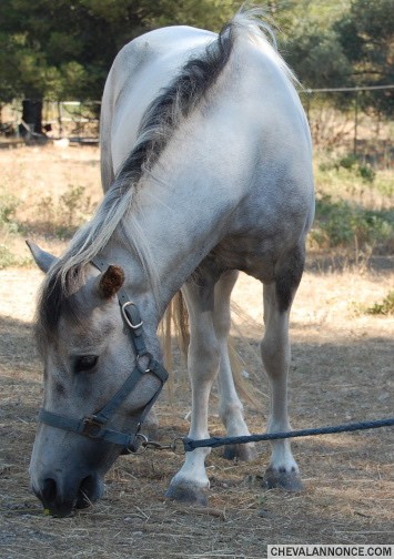 Photo de profil de nanalove