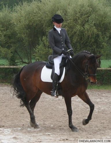 Photo de profil de paulinorange