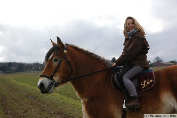 Photo de profil de carole18