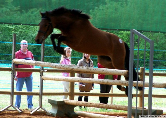 Photo de profil de cordailla