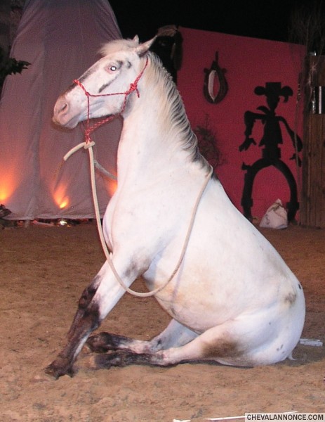 Photo de profil de oreil