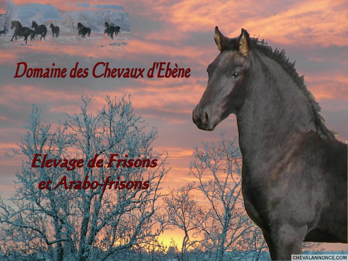 Photo de profil de claudiaboittin