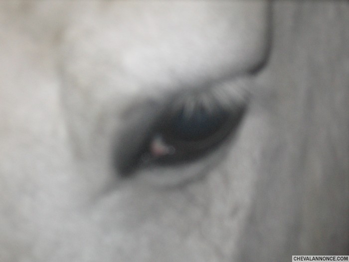 Photo de profil de fafa93