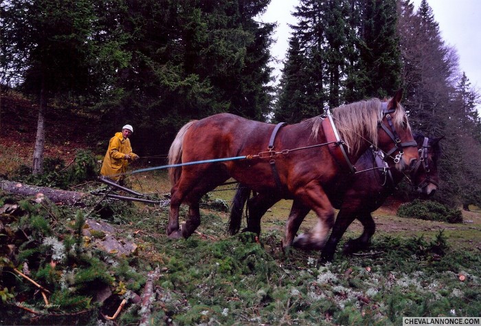 Photo de profil de toma39
