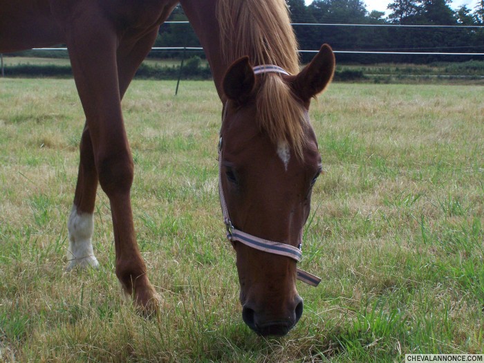 Photo de profil de didi618
