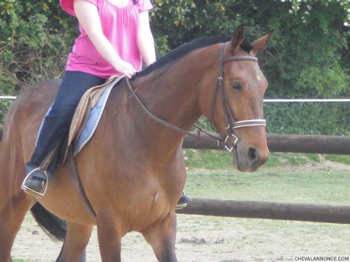 Photo de profil de sonice