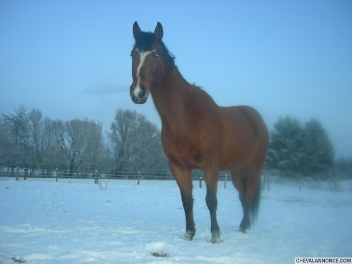 Photo de profil de facom57