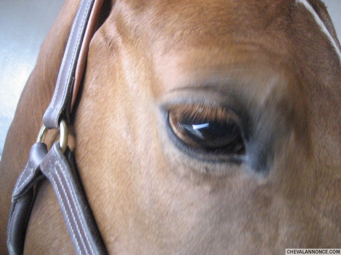 Photo de profil de monalisa_57